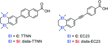 Graphical abstract: Disila-analogues of the synthetic retinoids EC23 and TTNN: synthesis, structure and biological evaluation