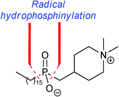 Graphical abstract: Synthesis of a phosphinate analogue of the anti-tumour phosphate di-ester perifosine via sequential radical processes