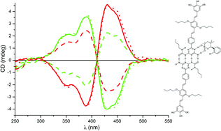 Graphical abstract: Sensitive detection of enantiomeric excess in different acids through chiral induction in an oligo(p-phenylenevinylene) aggregate