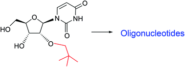 Graphical abstract: Synthesis and properties of 2′-O-neopentyl modified oligonucleotides