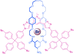 Graphical abstract: A rotaxane host system containing integrated triazole C–H hydrogen bond donors for anion recognition