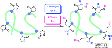 Graphical abstract: Double modular modification of thiolactone-containing polymers: towards polythiols and derived structures