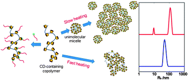 Graphical abstract: A new story of cyclodextrin as a bulky pendent group causing uncommon behaviour to random copolymers in solution