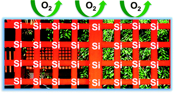 Graphical abstract: Air-stable poly(3,3,3-trifluoropropylsilyne) homo- and copolymers