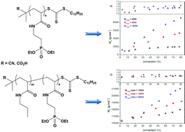 Graphical abstract: Synthesis by RAFT of innovative well-defined (co)polymers from a novel phosphorus-based acrylamide monomer
