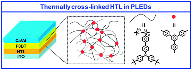 Graphical abstract: Thermally cross-linkable hole transporting polymer synthesized by living anionic polymerization for effective electron blocking and reduction of exciton quenching in multilayer polymer light emitting diodes