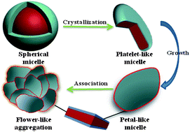 Graphical abstract: Synthesis and self-assembly of isotactic polystyrene-block-poly(ethylene glycol)