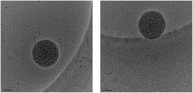 Graphical abstract: Diblock copolymers consisting of a polymerized ionic liquid and poly(N-isopropylacrylamide). Effects of PNIPAM block length and counter ion on self-assembling and thermal properties