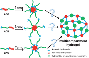 Graphical abstract: Multicompartment thermoresponsive gels: does the length of the hydrophobic side group matter?