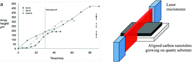 Graphical abstract: The life and death of carbon nanotubes