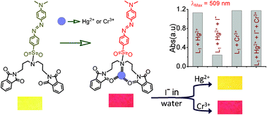 Graphical abstract: A highly selective and dual responsive test paper sensor of Hg2+/Cr3+ for naked eye detection in neutral water