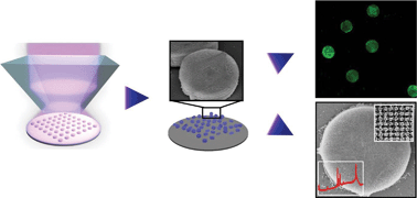 Graphical abstract: Fabrication of microparticles with controllable internal woodpile structures for highly efficient sensing applications