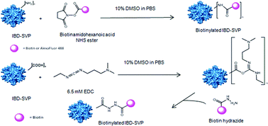 Graphical abstract: A potential nanobiotechnology platform based on infectious bursal disease subviral particles