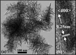 Graphical abstract: Anisotropic etching of microscale β-FeSi2 particles: Formation, mechanism, and quantum confinement of β-FeSi2 nanowhiskers