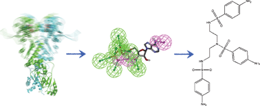 Graphical abstract: Ligand selection from the analysis of protein conformational substates: new leads targeting the N-terminal domain of Hsp90
