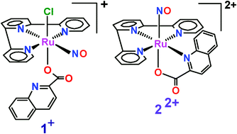 Graphical abstract: Influence of nitrosyl coordination on the binding mode of quinaldate in selective ruthenium frameworks. Electronic structure and reactivity aspects