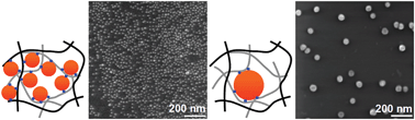 Graphical abstract: Hydrogel porosity controlling DNA-directed immobilization of gold nanoparticles revealed by DNA melting and scanning helium ion microscopy