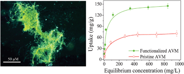 Graphical abstract: Surface functionalization of Aspergillus versicolor mycelia: in situ fabrication of cadmium sulphide nanoparticles and removal of cadmium ions from aqueous solution
