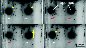 Graphical abstract: Remotely addressable magnetic composite micropumps