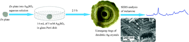 Graphical abstract: Liesegang rings of dendritic silver crystals emerging from galvanic displacement reaction in a liquid-phase solution
