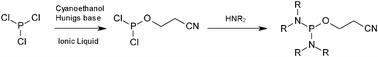 Graphical abstract: Exploiting the use of ionic liquids to access phosphorodiamidites