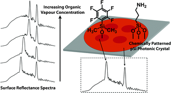 Graphical abstract: Chemically patterned porous silicon photonic crystals towards internally referenced organic vapour sensors