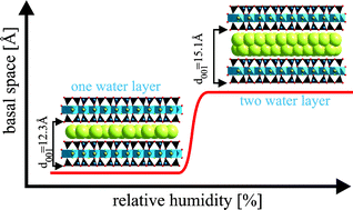 Graphical abstract: Single crystal structure refinement of one- and two-layer hydrates of sodium fluorohectorite