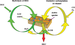 Graphical abstract: A novel method to reduce the influence of by-product water on the catalytic performance of PdCl2/Cu-HMS catalysts for the synthesis of diethyl carbonate