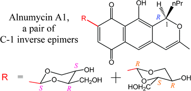 Graphical abstract: Epimers vs. inverse epimers: the C-1 configuration in alnumycin A1