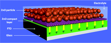 Graphical abstract: Interfacial modification of photoelectrode in ZnO-based dye-sensitized solar cells and its efficiency improvement mechanism