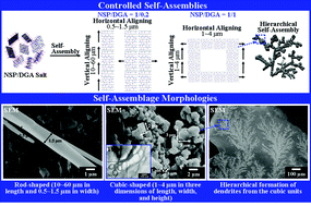 Graphical abstract: Controlled self-assemblies of clay silicate platelets by organic salt modifier
