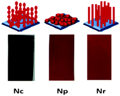 Graphical abstract: Photoelectrochemistry of solution processed hematite nanoparticles, nanoparticle-chains and nanorods