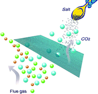 Graphical abstract: Salting-out effect on facilitated transport membranes for CO2 separation: From fluoride salt to polyoxometalates
