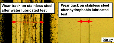 Graphical abstract: Adhesion and tribological properties of hydrophobin proteins in aqueous lubrication on stainless steel surfaces