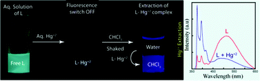 Graphical abstract: Selective sensing and efficient separation of Hg2+ from aqueous medium with a pyrene based amphiphilic ligand