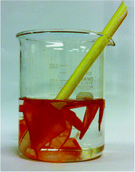 Graphical abstract: Application of tomato peel as an efficient adsorbent for water purification—alternative biotechnology?