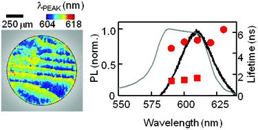 Graphical abstract: Dynamics of spontaneous emission of quantum dots in a one-dimensional cholesteric liquid crystal photonic cavity