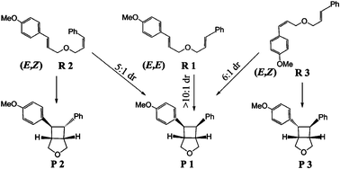 Graphical abstract: A theoretical study on the stereoconvergency of the intramolecular radical cation [2+2] cycloadditions of bis(styrenes)