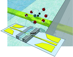 Graphical abstract: Highly sensitive terahertz spectroscopy in microsystem