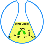 Graphical abstract: Oxidation of sulfides to sulfoxides mediated by ionic liquids