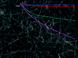 Graphical abstract: AgBr modified TiO2 nanotube films: highly efficient photo-degradation of methyl orange under visible light irradiation