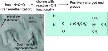 Graphical abstract: Engineered nanofillers: impact on the morphology and properties of biomedical thermoplastic polyurethane nanocomposites