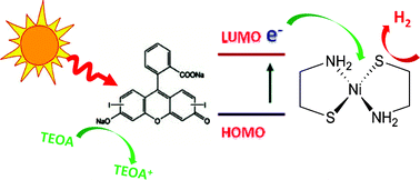 Graphical abstract: Nickel-complexes with a mixed-donor ligand for photocatalytic hydrogen evolution from aqueous solutions under visible light