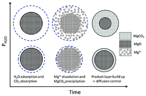 Graphical abstract: Kinetics studies on wet and dry gas–solid carbonation of MgO and Mg(OH)2 for CO2 sequestration