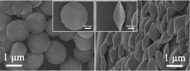 Graphical abstract: Facile synthesis and gas-sensing properties of monodisperse α-Fe2O3 discoid crystals