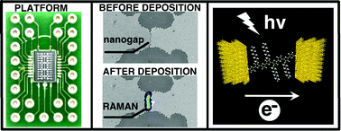 Graphical abstract: A nanogap–array platform for testing the optically modulated conduction of gold–octithiophene–gold junctions for molecular optoelectronics