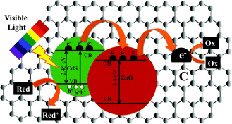 Graphical abstract: Visible light assisted photocatalytic hydrogen generation and organic dye degradation by CdS–metal oxide hybrids in presence of graphene oxide
