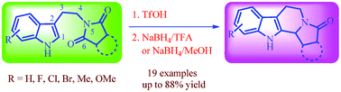 Graphical abstract: Construction of tetrahydro-β-carboline skeletons via Brønsted acid activation of imide carbonyl group: syntheses of indole alkaloids (±)-harmicine and (±)-10-desbromoarborescidine-A
