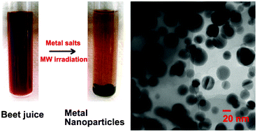 Graphical abstract: Beet juice utilization: Expeditious green synthesis of noble metal nanoparticles (Ag, Au, Pt, and Pd) using microwaves