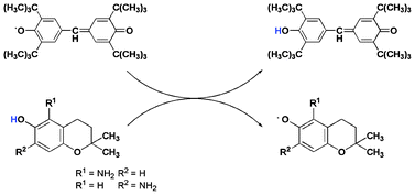 Graphical abstract: The high stability of intermediate radicals enhances the radical-scavenging activity of aminochromanols